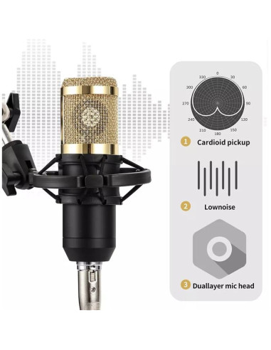 pack Carte son V8 et microphone de studio à...