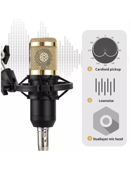 pack Carte son V8 et microphone de studio à condensateur BM 800