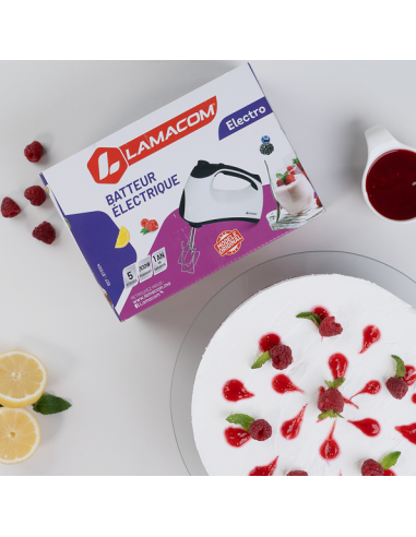 Lamacom Batteur électrique 300 watt