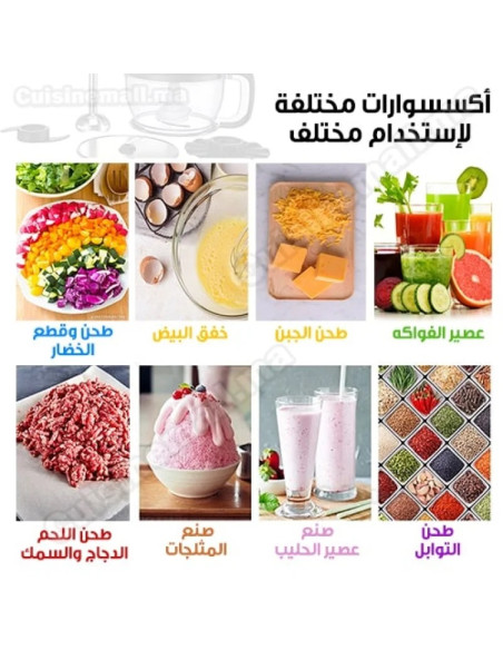 Laccor Mixeur Plongeant inox 10 en 1 500 watt