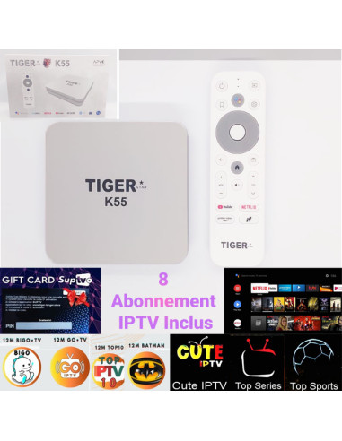 Tv box tiger k55 2gb ram 16gb mémoire avec 8 abonnement iptv