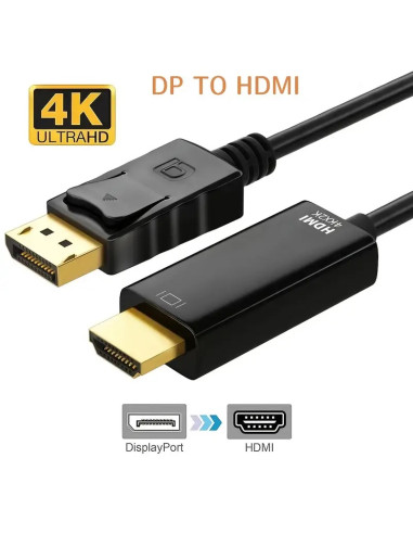 Câble DisplayPort vers HDTV, adaptateur d'affichage DP vers HDTV, convertisseur 1M