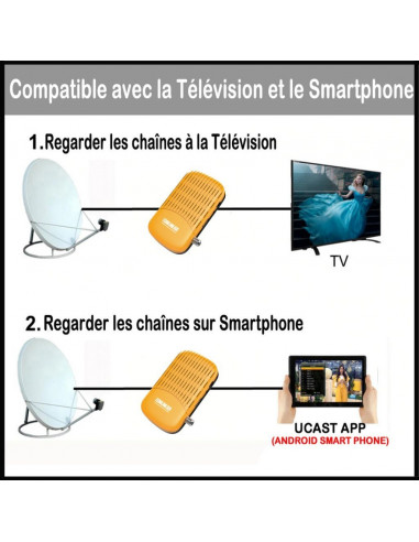 Echolink Tornado V4 Super + Clé wifi +...