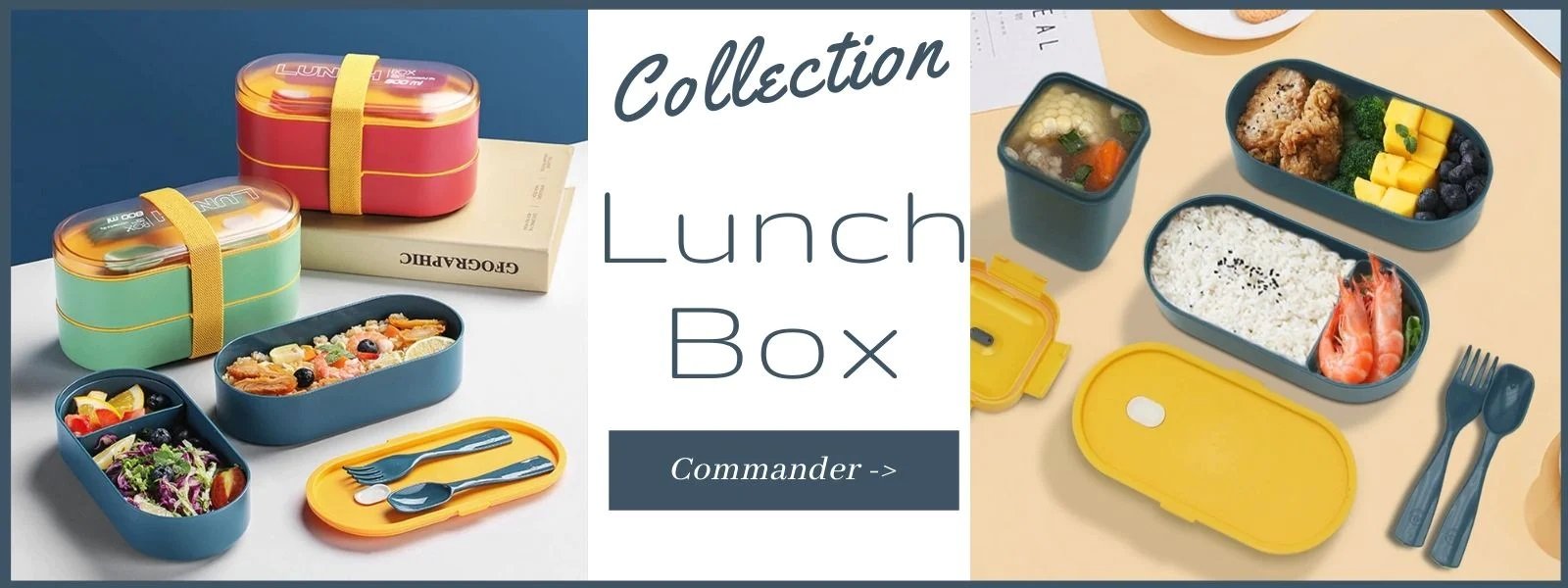 Lunch box chauffante Pro avec convertisseur de tension 12 V